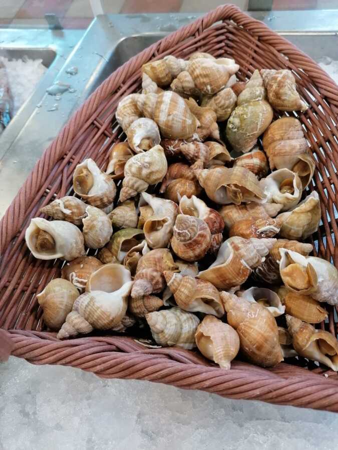 Crustacés - Bulot